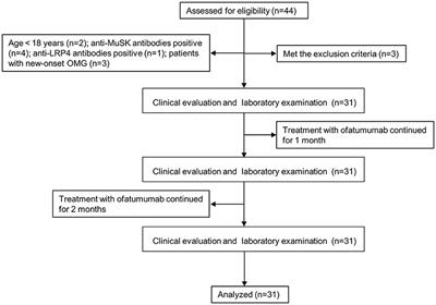 Therapeutic effect of ofatumumab in patients with myasthenia gravis: immunoregulation of follicular T helper cells and T helper type 17 cells